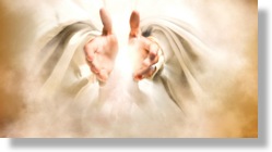 His palms